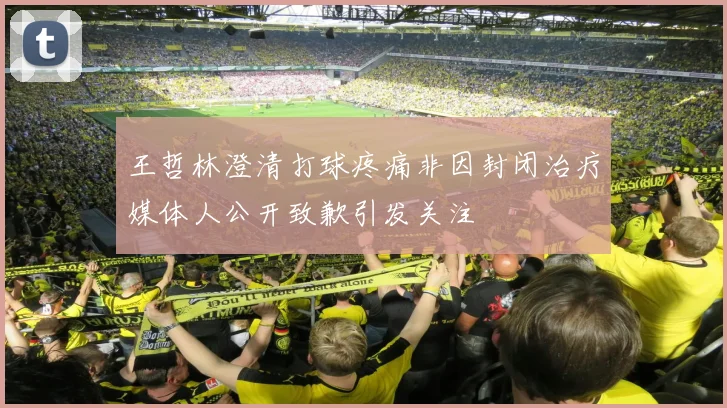 王哲林澄清打球疼痛非因封闭治疗媒体人公开致歉引发关注