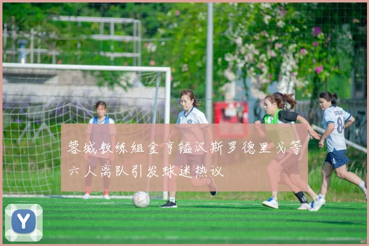 蓉城教练组金亨镒汉斯罗德里戈等六人离队引发球迷热议