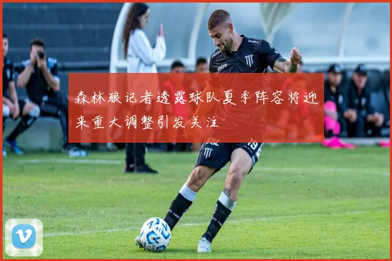 森林狼记者透露球队夏季阵容将迎来重大调整引发关注